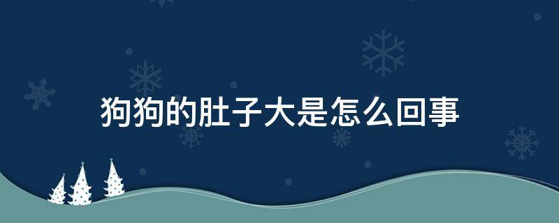 狗狗的肚子大是怎么回事（狗狗的肚子很大怎么回事）