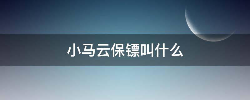 小马云保镖叫什么（小马云保镖图片大全）