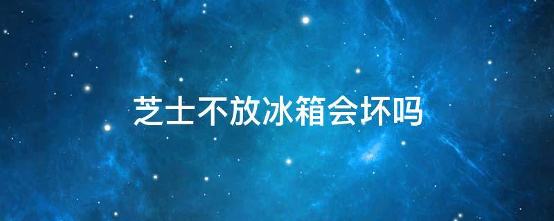 芝士不放冰箱会坏吗 芝士不在冰箱可以放到明天吗