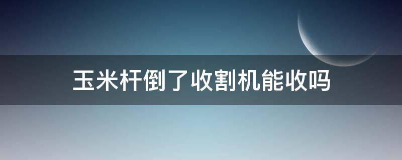 玉米杆倒了收割机能收吗 玉米杆倒了怎么收