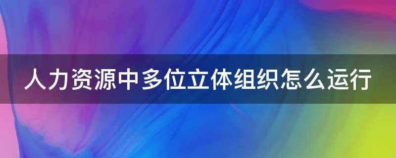 人力资源中多位立体组织怎么运行（人力资源中多位立体组织怎么运行好）