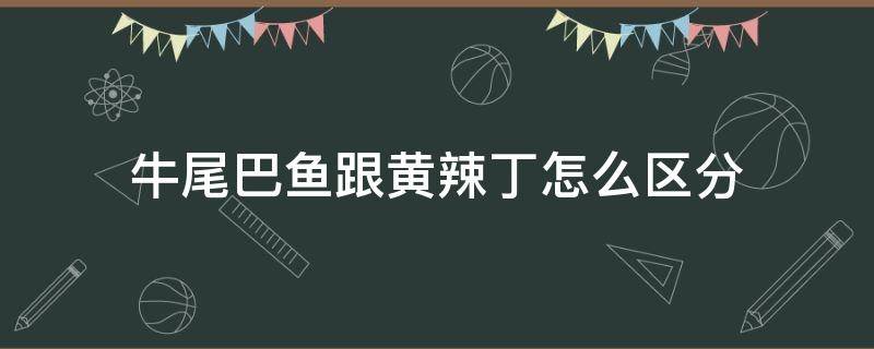 牛尾巴鱼跟黄辣丁怎么区分（牛尾霸和黄辣丁是一种鱼吗）