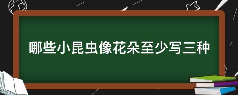 哪些小昆虫像花朵至少写三种（哪些小昆虫也像“花朵”）