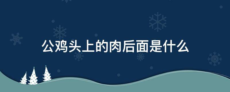 公鸡头上的肉后面是什么 公鸡头上的肉后面是啥