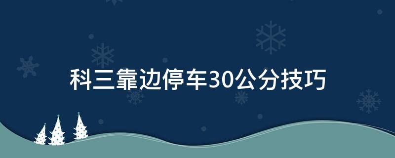 科三靠边停车30公分技巧 科三靠边停车30公分技巧图解