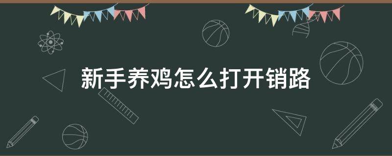 新手养鸡怎么打开销路（打算养鸡怎么开始）