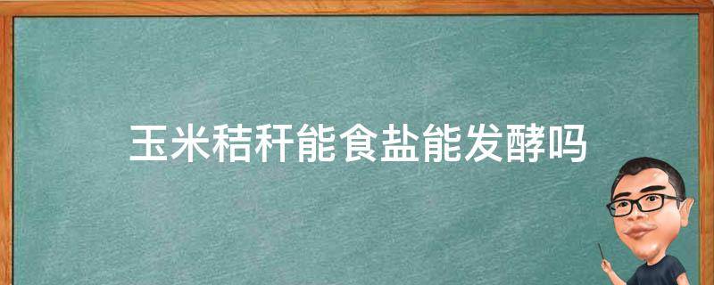 玉米秸秆能食盐能发酵吗 发酵的玉米秸秆能不能直接给羊吃