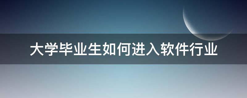 大学毕业生如何进入软件行业（软件应届毕业生怎么找工作）