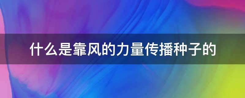 什么是靠风的力量传播种子的（什么是靠风传播种子什么是靠力量传播种子）