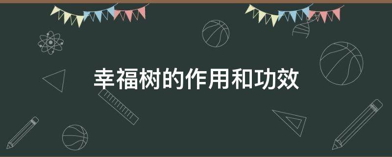 幸福树的作用和功效（幸福树的作用和功效吸收甲醛）