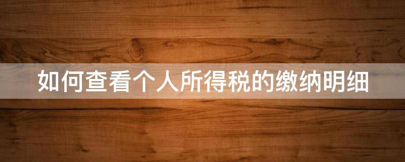 如何查看个人所得税的缴纳明细 怎么查个人所得税的缴税记录