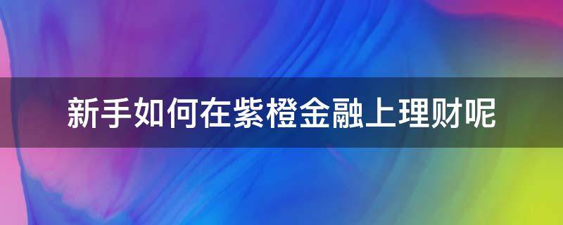 新手如何在紫橙金融上理财呢（紫橙集团在哪里）