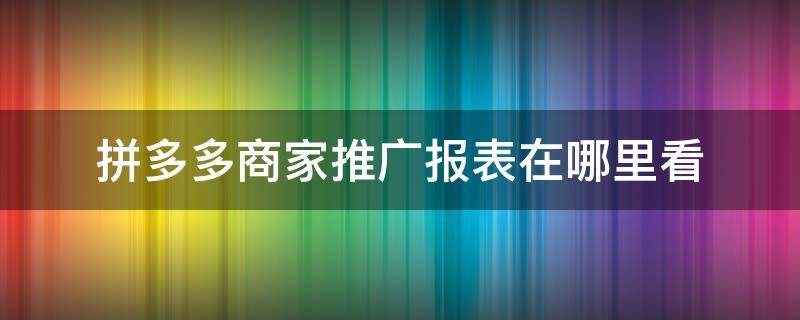 拼多多商家推广报表在哪里看 拼多多推广数据在哪里可以看