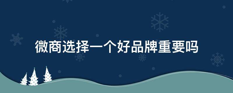 微商选择一个好品牌重要吗（微商选择一个好品牌重要吗知乎）