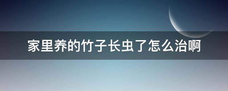 家里养的竹子长虫了怎么治啊 家里养的竹子长虫了怎么治啊