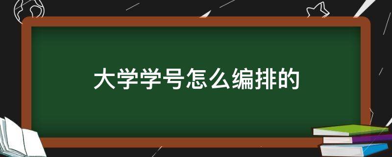 大学学号怎么编排的 大学学号是怎么编排的跟成绩有关吗