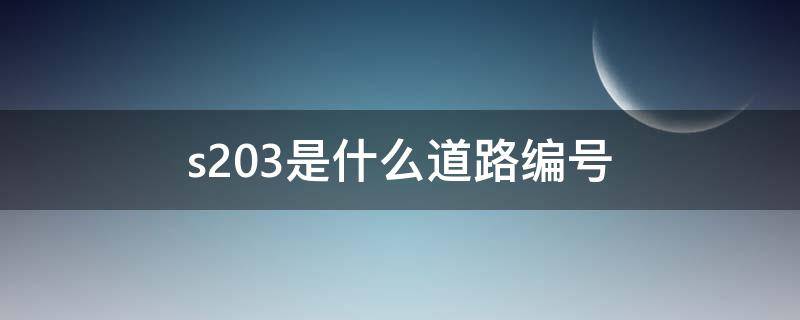 s203是什么道路编号（s203是什么道路编号的车）