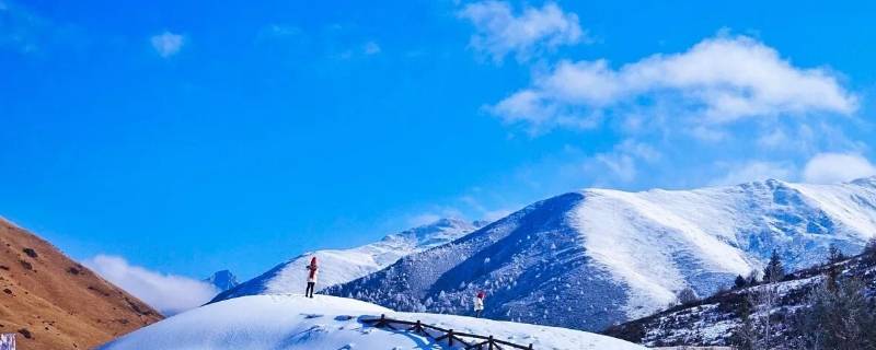 鹧鸪山海拔多少米（鹧鸪山介绍）