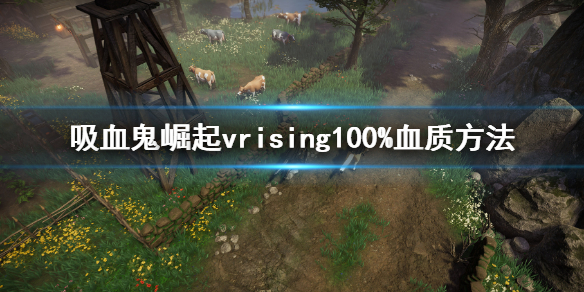 吸血鬼崛起100%血质方法