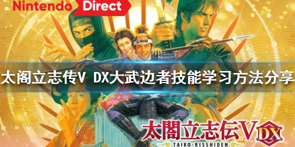 太阁立志传V 太阁立志传v dx攻略