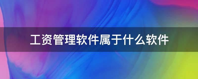 工资管理软件属于什么软件 工资管理程序属于什么软件