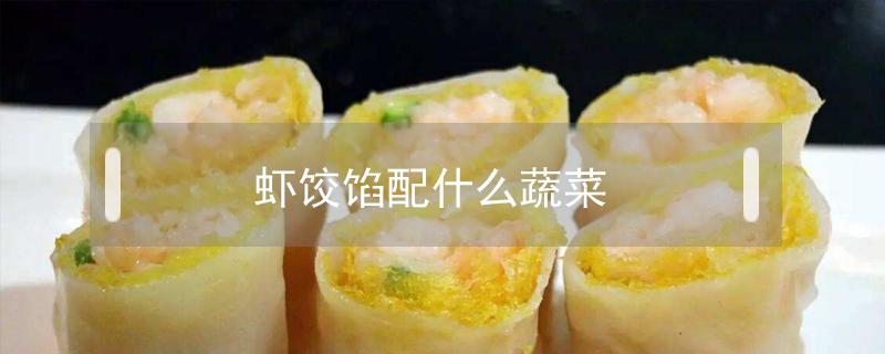 虾饺馅配什么蔬菜（虾仁饺子馅配什么蔬菜）