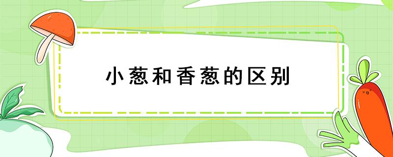 小葱和香葱的区别 小香葱和香葱有什么区别