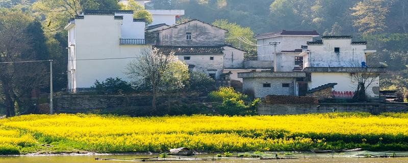 清明节能出去玩吗（清明节能出去玩吗晚上）