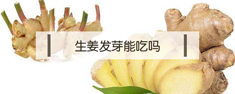 生姜发芽能吃吗 生姜发芽能吃吗会带来什么危害