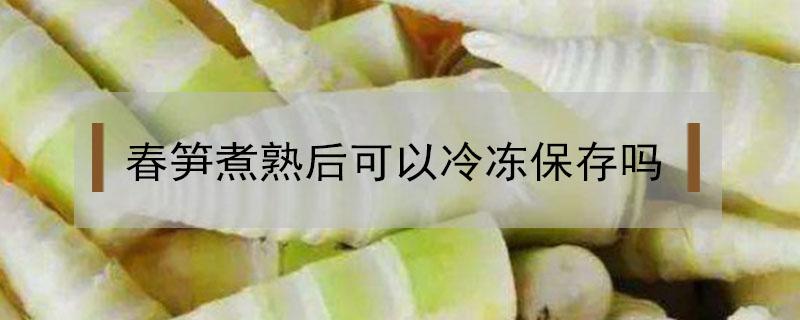 春笋煮熟后可以冷冻保存吗 煮好的春笋能放冰箱冷冻吗