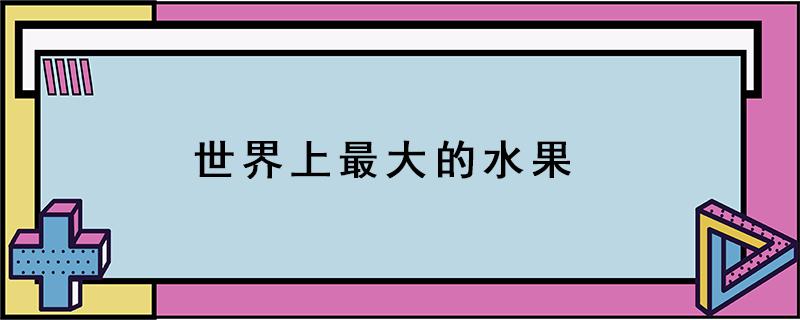 世界上最大的水果（世界上最大的水果是芭芭农场）