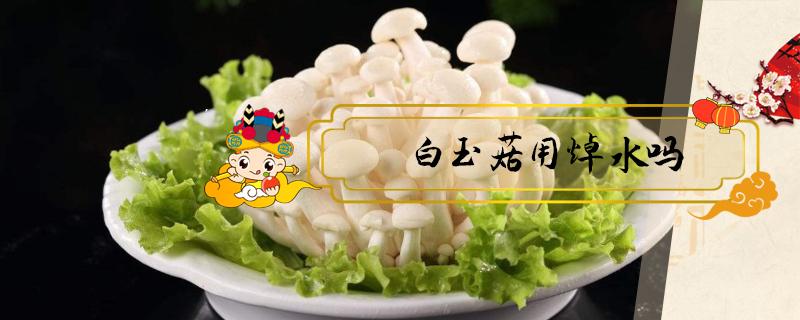 白玉菇用焯水吗 白玉菇不焯水行吗