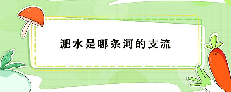 淝水是哪条河的支流（淝水之战是哪条河的支流）