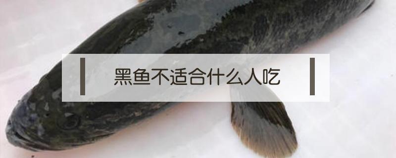 黑鱼不适合什么人吃（黑鱼不适合什么人吃 这一类人要远离它罗非鱼）