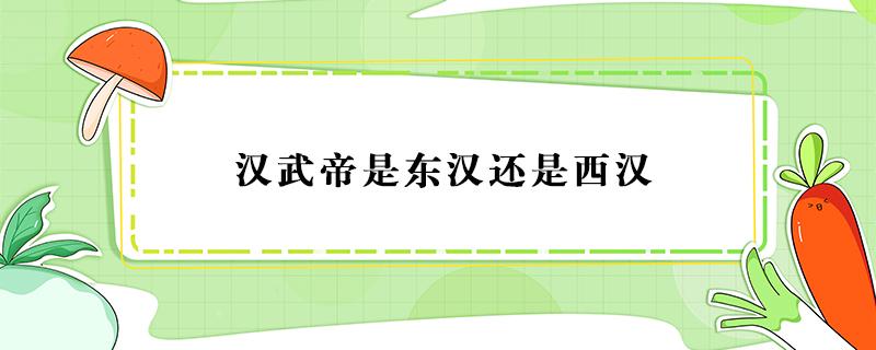 汉武帝是东汉还是西汉（汉武帝是西汉吗?）