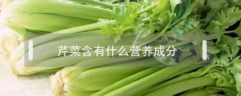 芹菜含有什么营养成分 芹菜的成分和营养价值