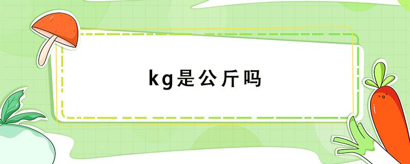 kg是公斤吗 kg是公斤吗g是什么