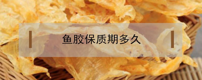 鱼胶保质期多久 鱼胶保质期多久(方法得当可以一直保存