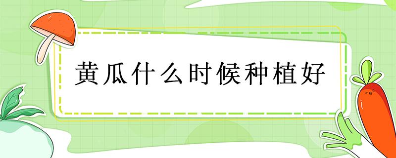 黄瓜什么时候种植好 黄瓜合适什么时候种植