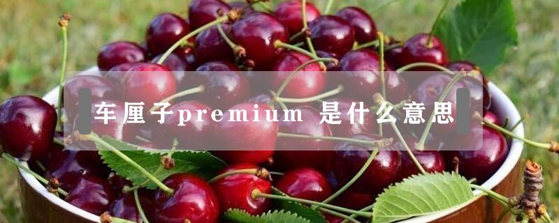 车厘子premium（车厘子PREMIUM什么意思）