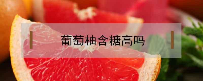 葡萄柚含糖高吗 葡萄柚含糖高吗孕妇可以吃吗