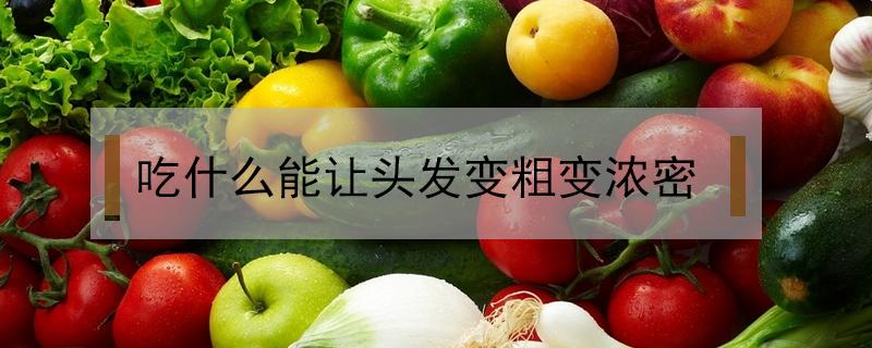 吃什么能让头发变粗变浓密（吃什么能让头发变粗变浓密多吃什么水果）