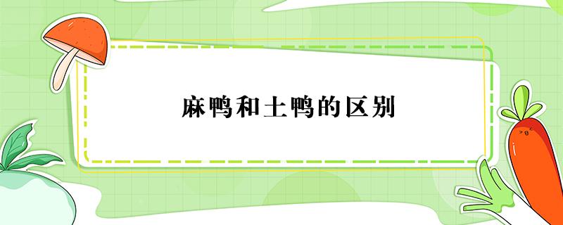 麻鸭和土鸭的区别（土鸭子和麻鸭子的区别）