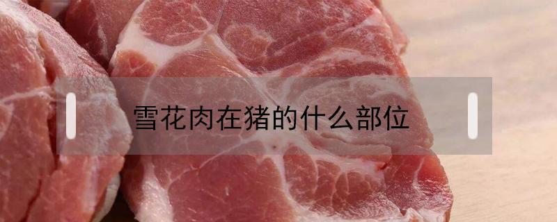 雪花肉在猪的什么部位 雪花肉是指猪身上的哪一点肉