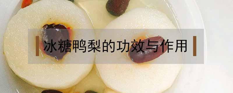 冰糖鸭梨的功效与作用 冰糖和梨的功效与作用