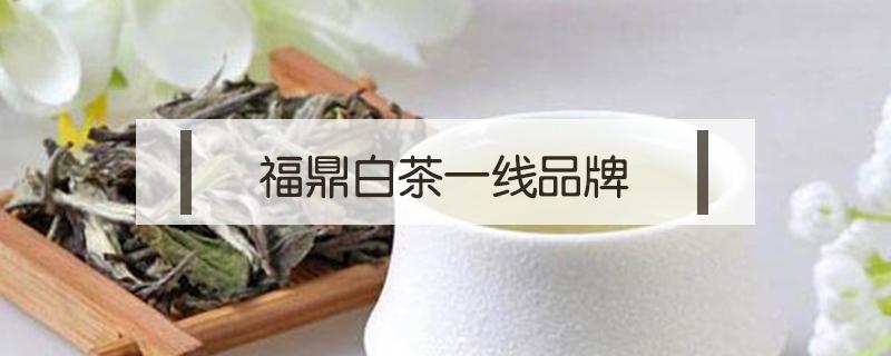 福鼎白茶一线品牌（福鼎白茶一线品牌排行榜）