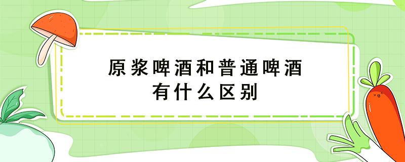 原浆啤酒和普通啤酒有什么区别（原浆啤酒多少钱一瓶）