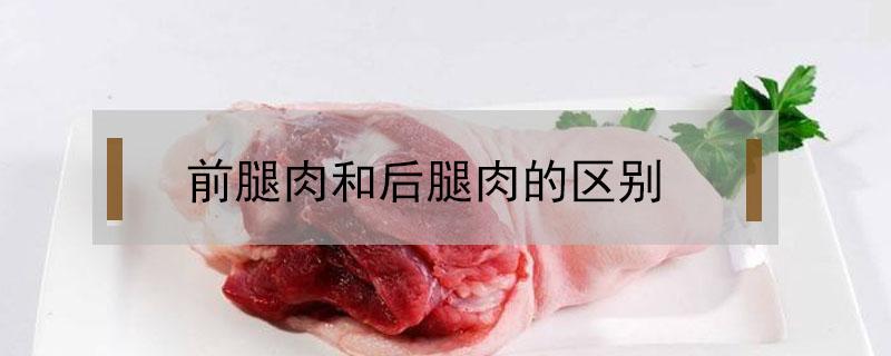 前腿肉和后腿肉的区别（牛肉前腿肉和后腿肉的区别）