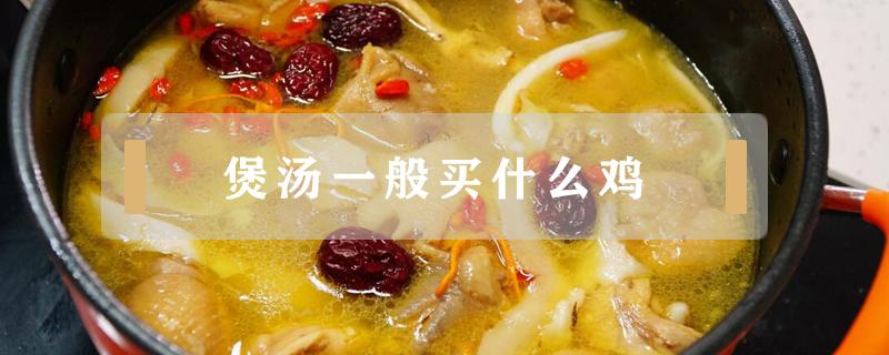 煲汤一般买什么鸡（买鸡煲汤买什么鸡好）