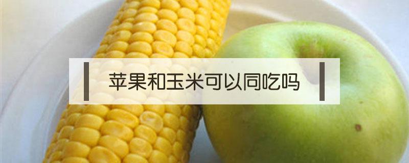 苹果和玉米可以同吃吗 玉米能与苹果一起吃吗